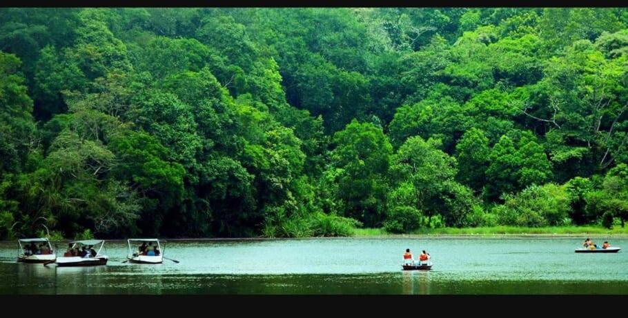 Wayanad Snow Vibes Villa ไวทีรี ภายนอก รูปภาพ