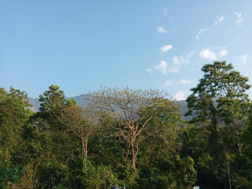 Wayanad Snow Vibes Villa ไวทีรี ภายนอก รูปภาพ