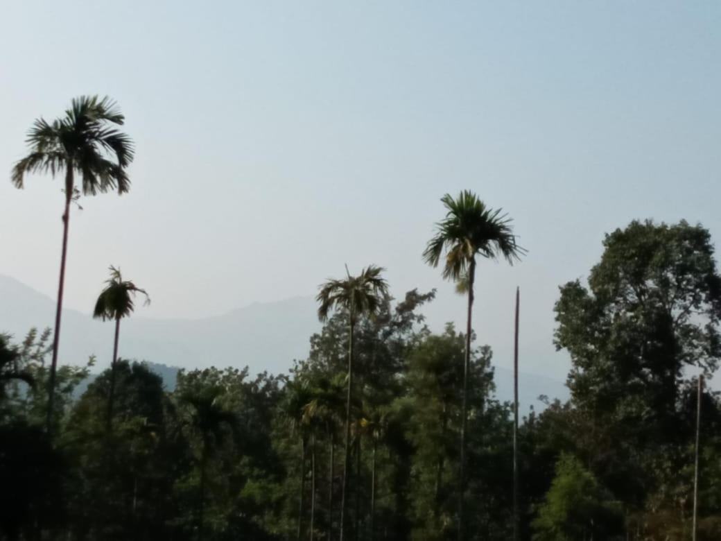 Wayanad Snow Vibes Villa ไวทีรี ภายนอก รูปภาพ